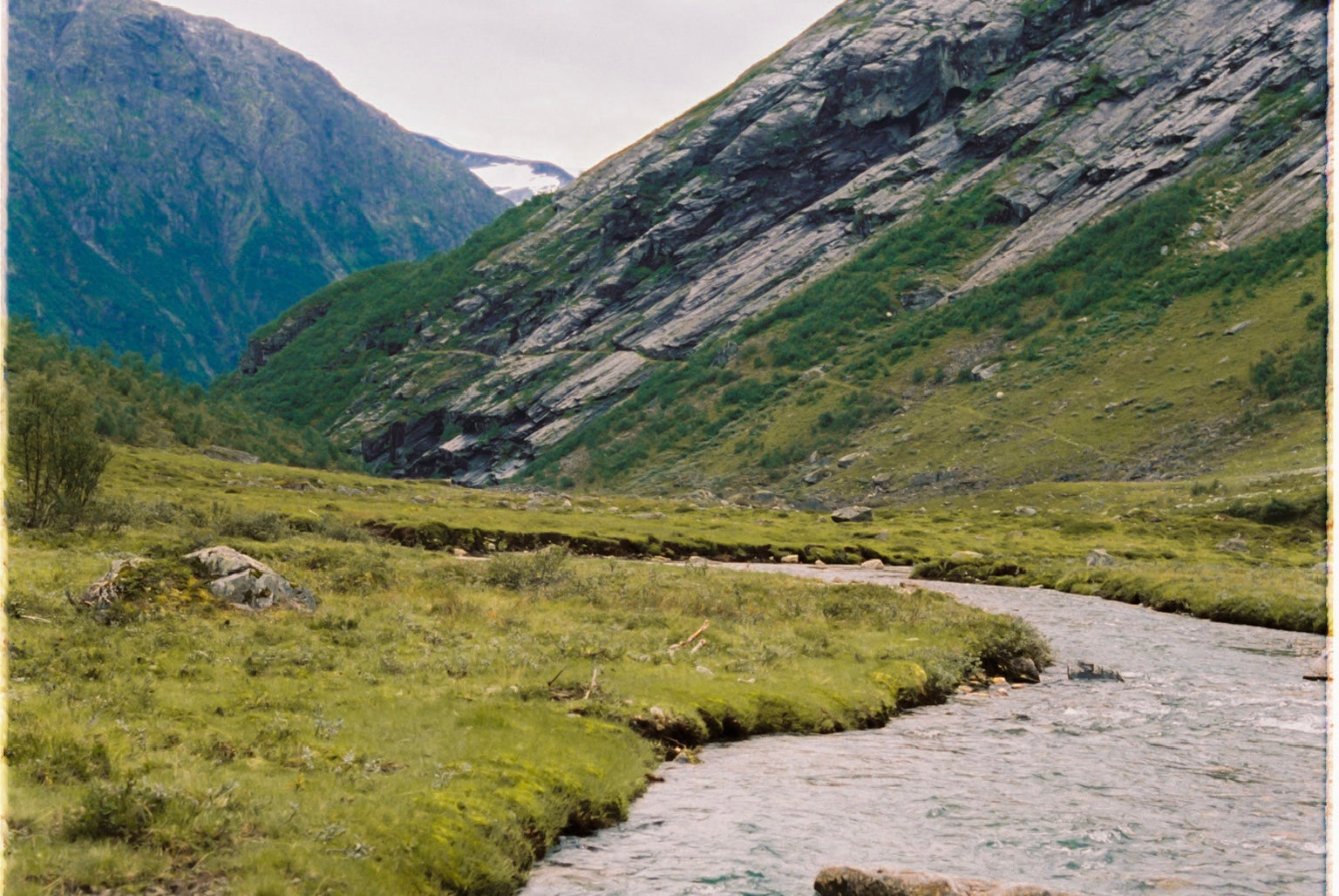 SAPHA Newsletter Background